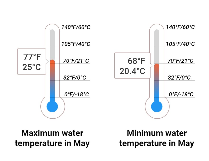 Average Sea temperature